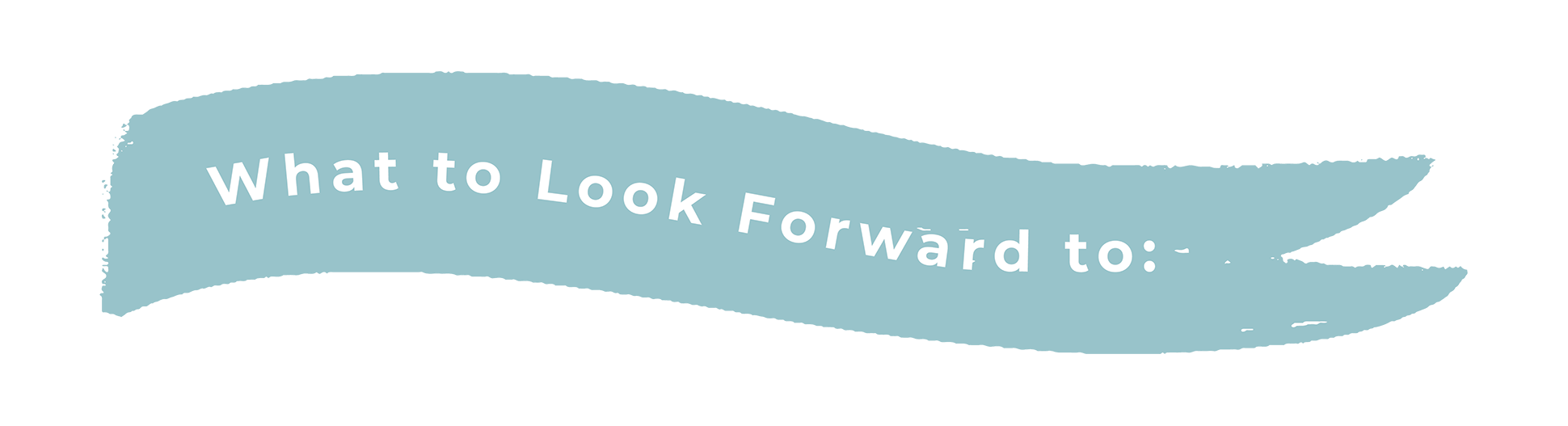 look forward to flag-blue-small